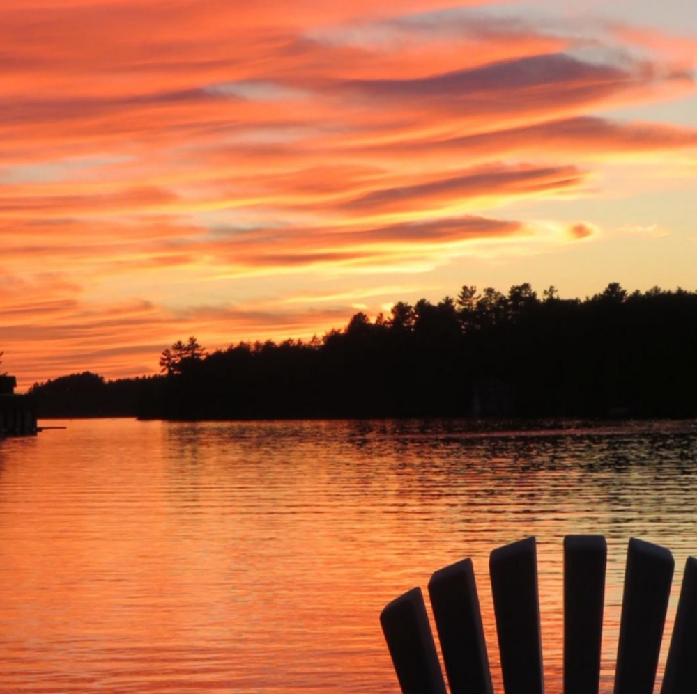 Meet your Posher, Dana